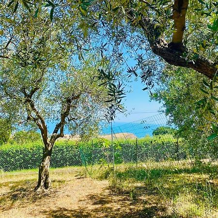 Villa In Collina Vista Mare Roseto Degli Abruzzi Buitenkant foto